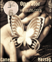butterfly