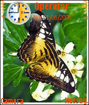 the beauty of my butterfly