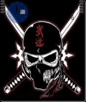 ninja skull