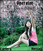 美女主题