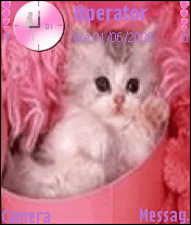 cat لا تنسونا من طلتكم 