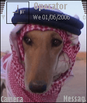 كلبون