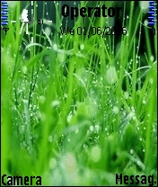 青草地