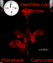 The violator!