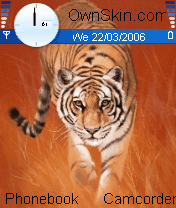 tiger