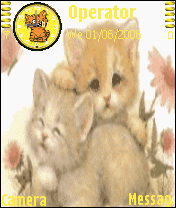 Kittens