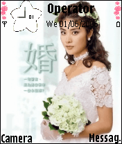 陈慧琳