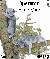 grey_cats_animated