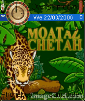 moataz