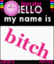 bitch