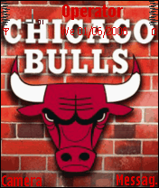 bulls