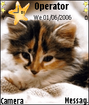 catycaty