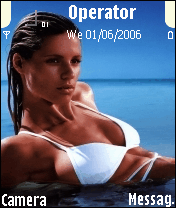 michelle hunziker