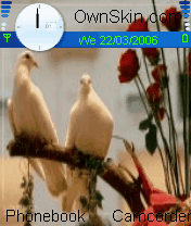 birds
