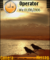 birds animated