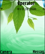 leaves
