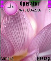 Petals
