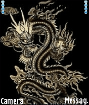 龙