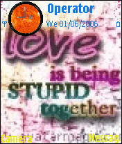 stupid love