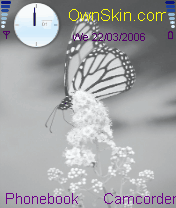 butterfly