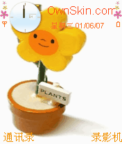 flower