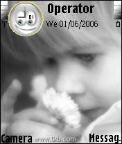 messo@live.com