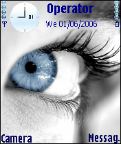 eye