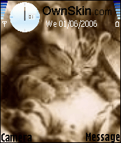 gattini
