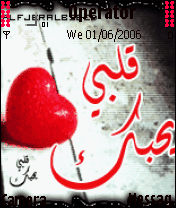 قلبي يحـبك 