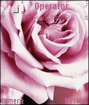 rose 1