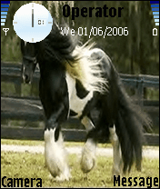 horse