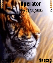 tiger
