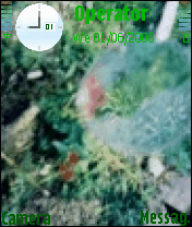 树