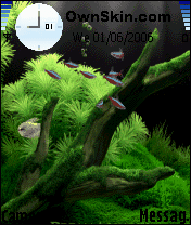 aquirium