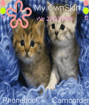 2 cats