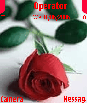 gulum 