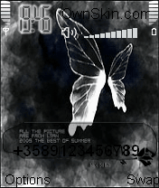 butterfly