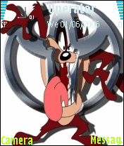 taz