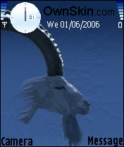 Intrepid Ibex