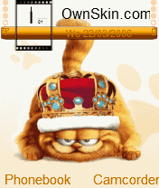 cat