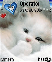 cute cat