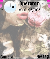 Kiss from a Rose