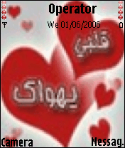 قلبي يهواك 