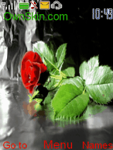 rosess