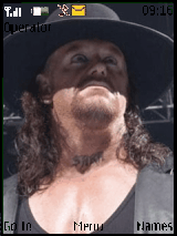 the undertaker