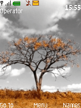 Autumn_Tree