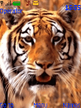 Tigre