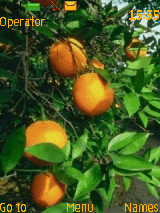 orange