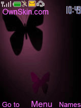 butterfly