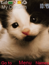 cats